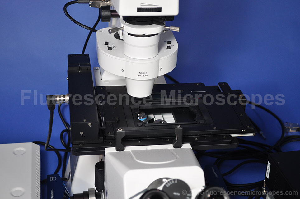 Fluorescence Microscopes Zeiss Axio Observer Z1 Inverted